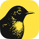 Bïrch logo